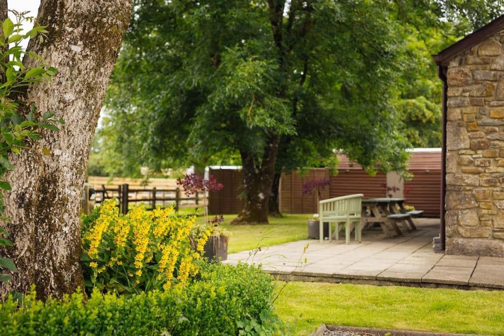 Barn Cottage - Family-Friendly Cottage With Heated Indoor Pool Haverfordwest Exteriör bild
